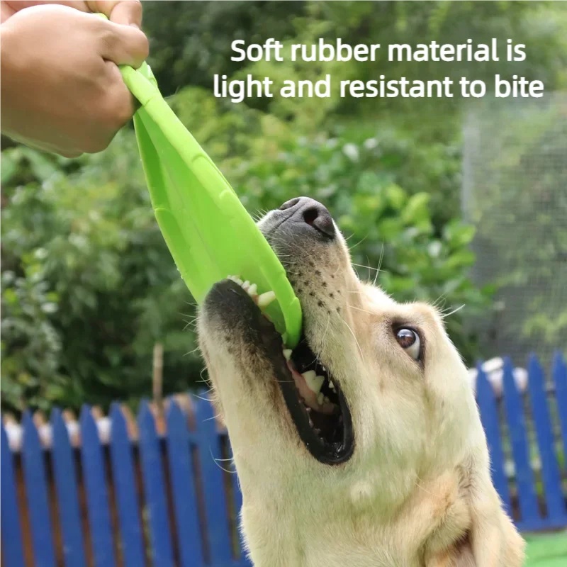 Interactive Silicone Flying Sa - Flying Disc Dog Training Toy recension och pris
