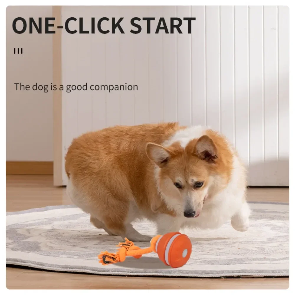Pet Ball for Dogs Interactive  - Automatic Moving Dog Ball recension och pris