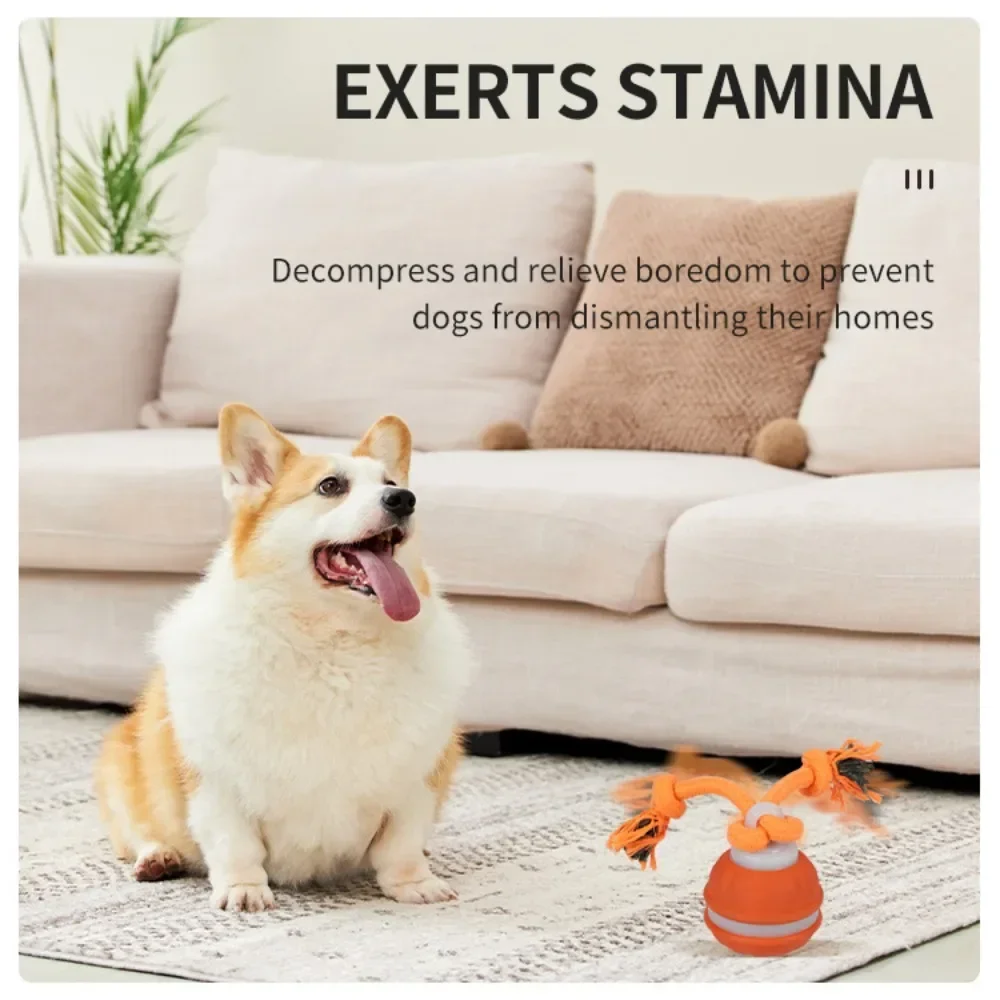 Pet Ball for Dogs Interactive  - Automatic Moving Dog Ball recension och pris