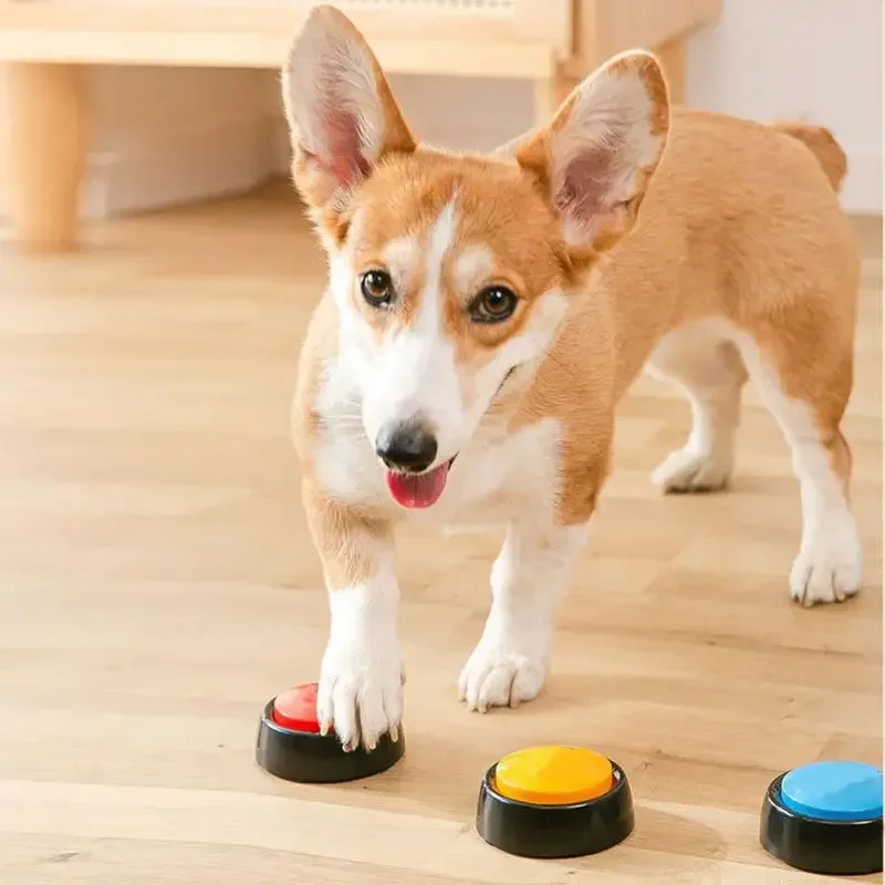 2026 Recordable Talking Pet Bu - Interactive Squeaky Plush Dog Toy recension och pris
