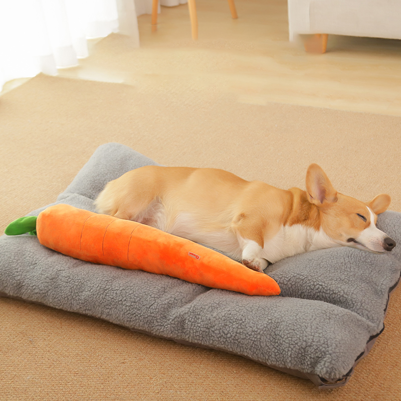 HOOPET Dog Toy Pet Carrot Plus - Indestructible Dog Chew Toy recension och pris