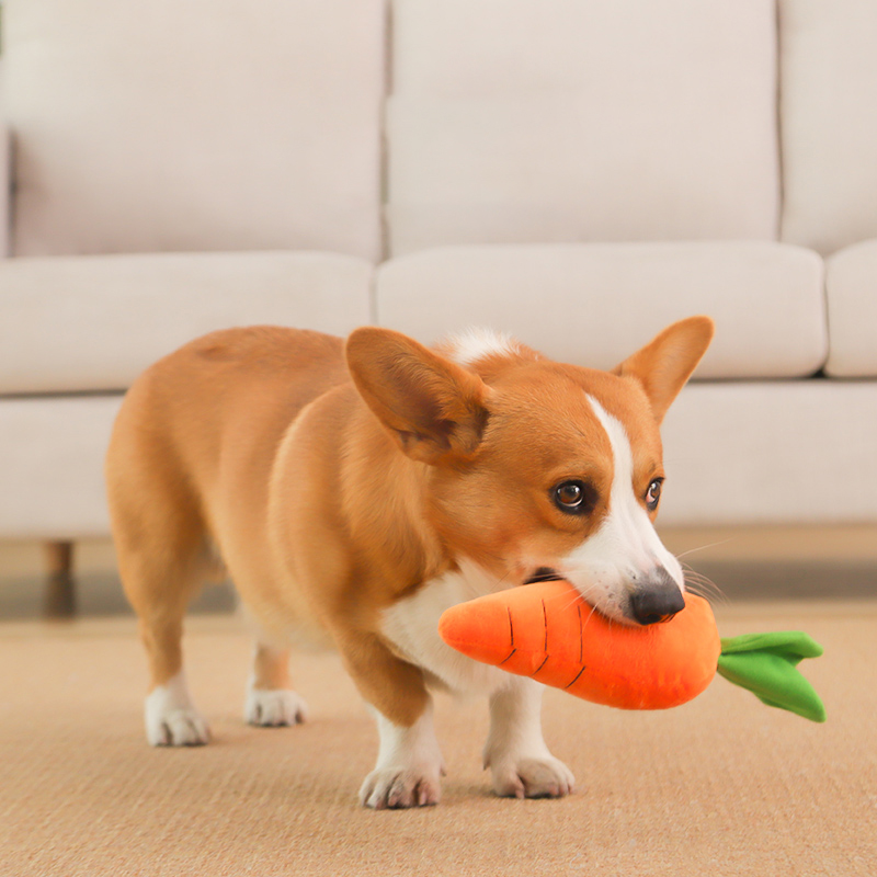 HOOPET Dog Toy Pet Carrot Plus - Indestructible Dog Chew Toy recension och pris